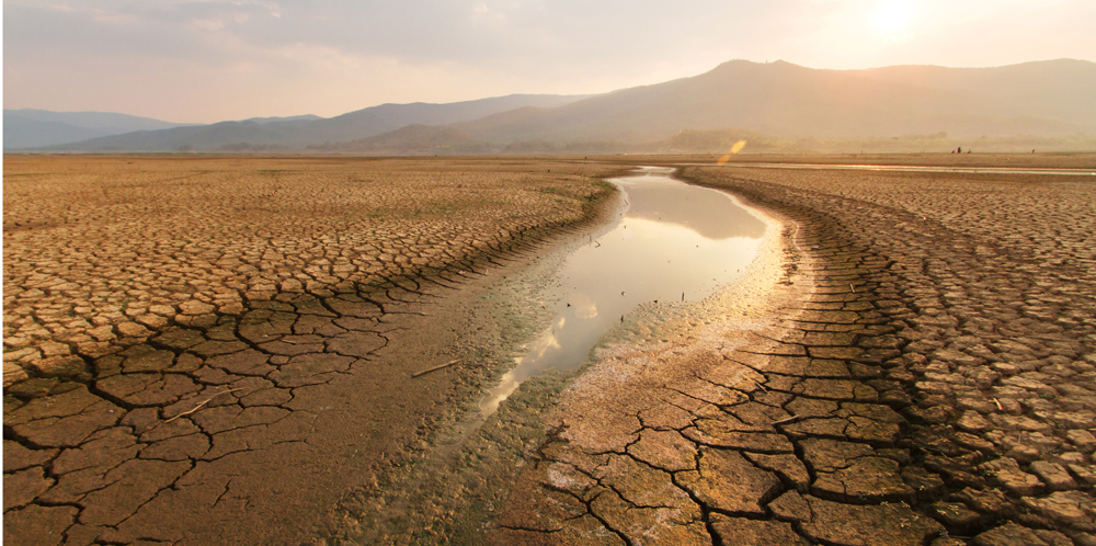 专家观点:发现早期预警系统在干旱管理中的重要性