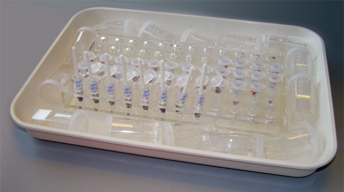纳米材料的毒理学影响——一个新项目